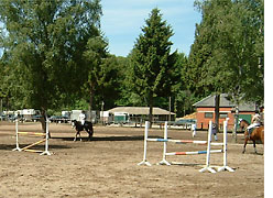 Idyll auf dem Abreiteplatz in Sonsbeck 2007